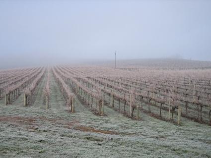 Vineyard Cottage Bnb Gumeracha Bagian luar foto